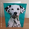 Dalmatian Jazzy Greeting Card